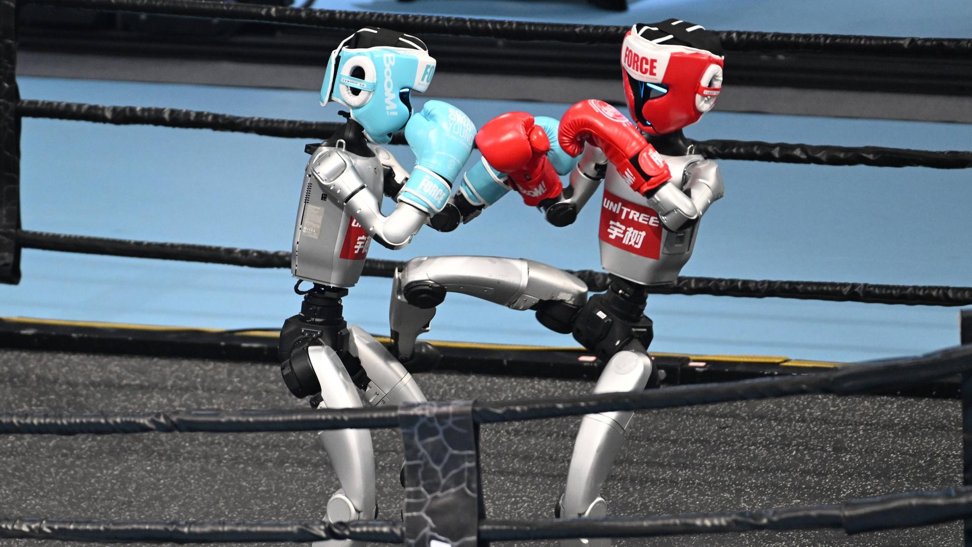 Zwei Roboterim Box-Ring. Sie stehen auf zwei Beinen. Der eine tritt dem anderen in die Beine. Sie haben Kopfschutz und Boxhandschuhe an. 