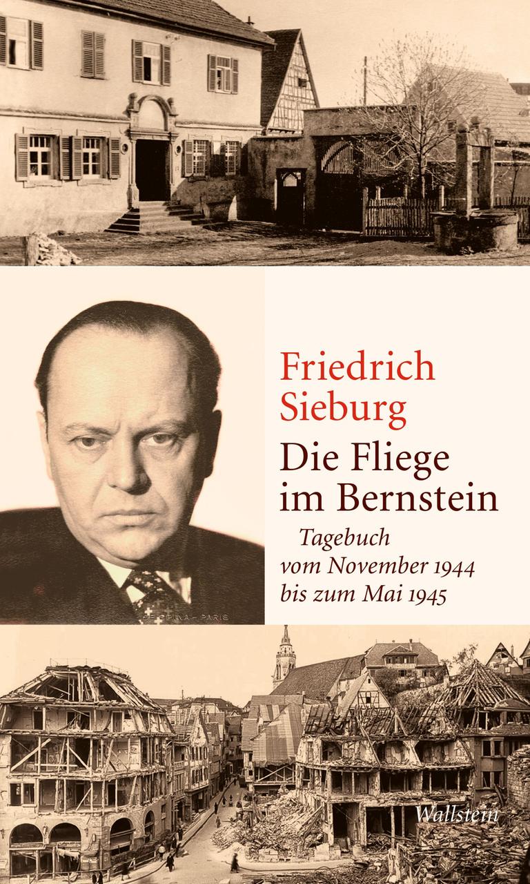 Das Cover des Buches von Friedrich Sieburg, "Die Fliege im Bernstein". Es zeigt drei Schwarz-weiß-Bilder neben Autor und Titel: Auf dem oberen ist ein großer Gebäude zusehen, auf dem mittleren ein Mann, der ein dunkles Sakko und Krawatte trägt und einen hohen Haaransatz hat, unten ein ausgebombtes Gebäude.