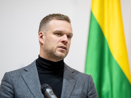 Litauens Außenminister Gabrielius Landsbergis steht neben einer litauischen Fahne