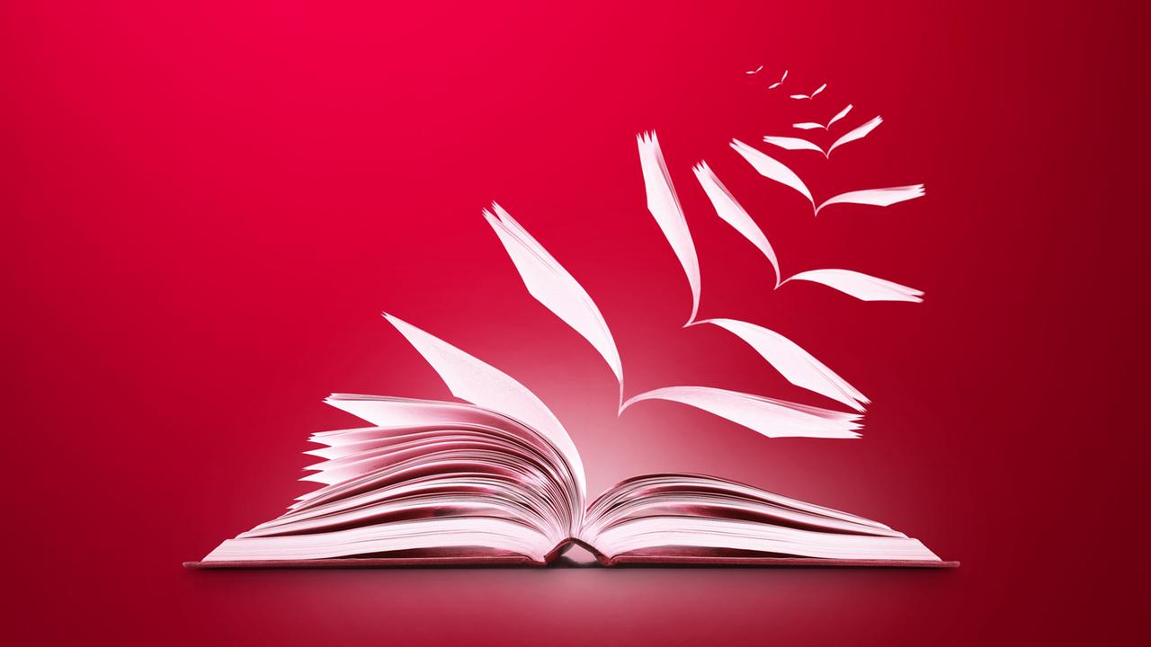 Illustration eines Buches, dessen Buchseiten vor einem roten Hintergrund aus dem Buch herausflattern. Illustration eines Buches, dessen Buchseiten vor einem roten Hintergrund aus dem Buch herausflattern.