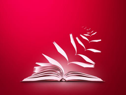 Illustration eines Buches, dessen Buchseiten vor einem roten Hintergrund aus dem Buch herausflattern.