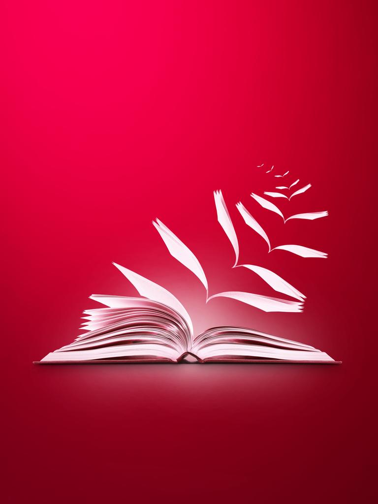 Illustration eines Buches, dessen Buchseiten vor einem roten Hintergrund aus dem Buch herausflattern.