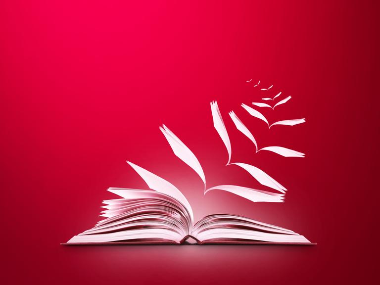 Illustration eines Buches, dessen Buchseiten vor einem roten Hintergrund aus dem Buch herausflattern.