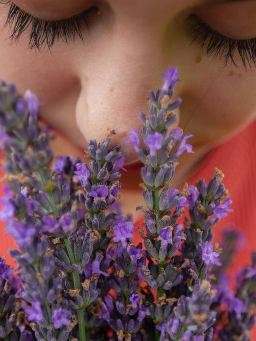 Frau riecht an blühendem Lavendel (Symbolbild)