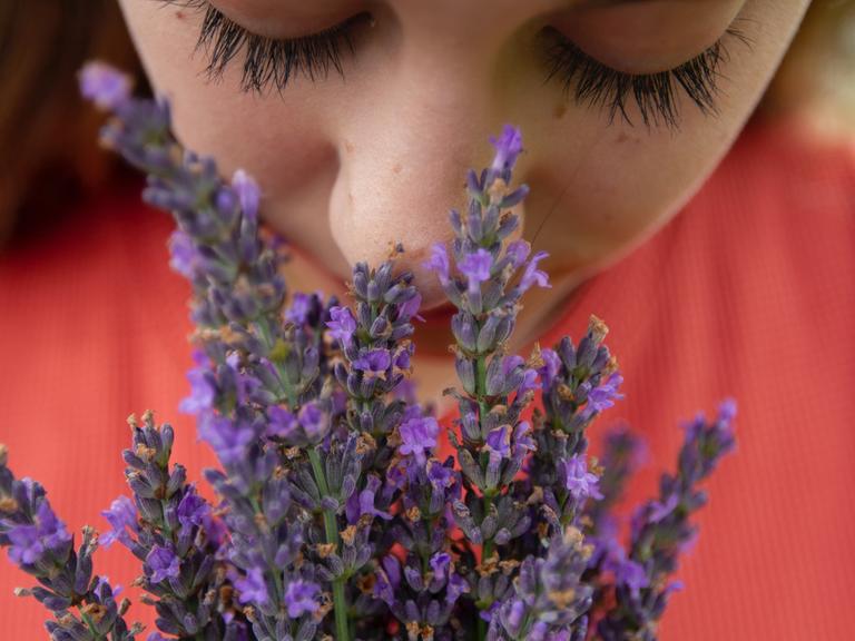 Frau riecht an blühendem Lavendel (Symbolbild)