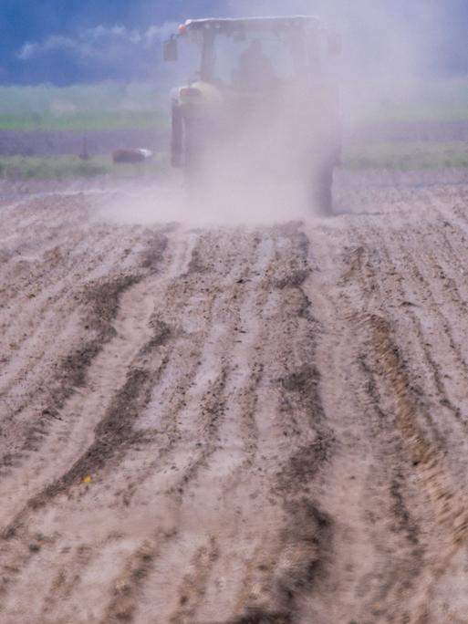 Ein Traktor fährt über einen Acker und wirbelt eine Staubwolke auf. Fehlender Regen und kräftige Winde, die den Boden austrocknen, bereiten den Landwirten in Norddeutschland zunehmend Sorgen.