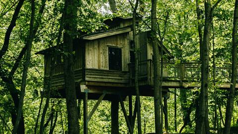ein Baumhaus im Wald
