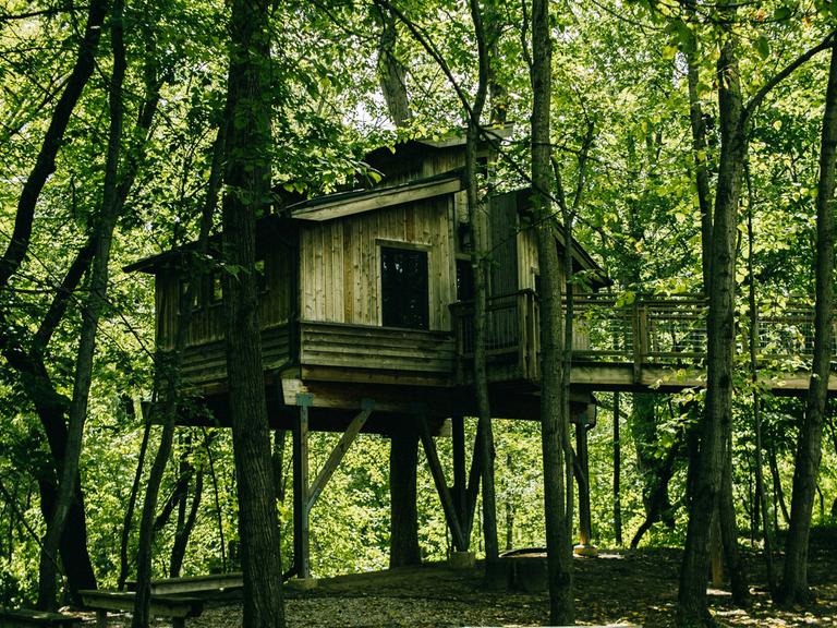 ein Baumhaus im Wald