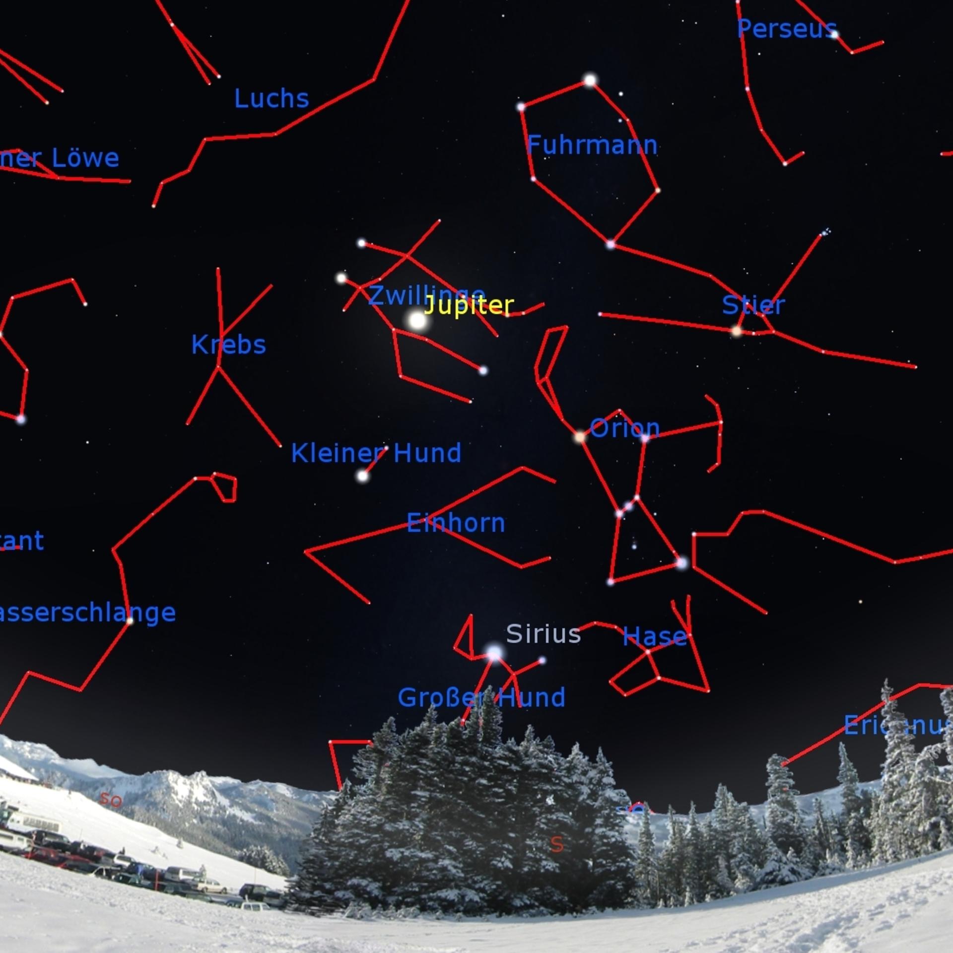 Frühlingsfiguren - Der Sternenhimmel im Februar