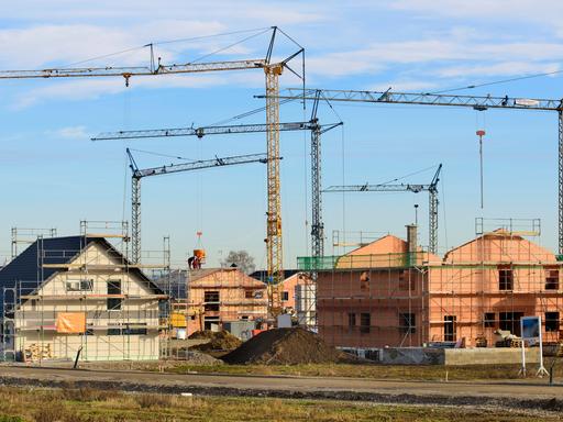 In einem Neubaugebiet stehen viele Baukräne vor Wohnhäuser im Rohbau, als Symbolbild für Wohnungsbau. In einem Neubaugebiet stehen viele Baukräne vor Wohnhäuser im Rohbau, als Symbolbild für Wohnungsbau.