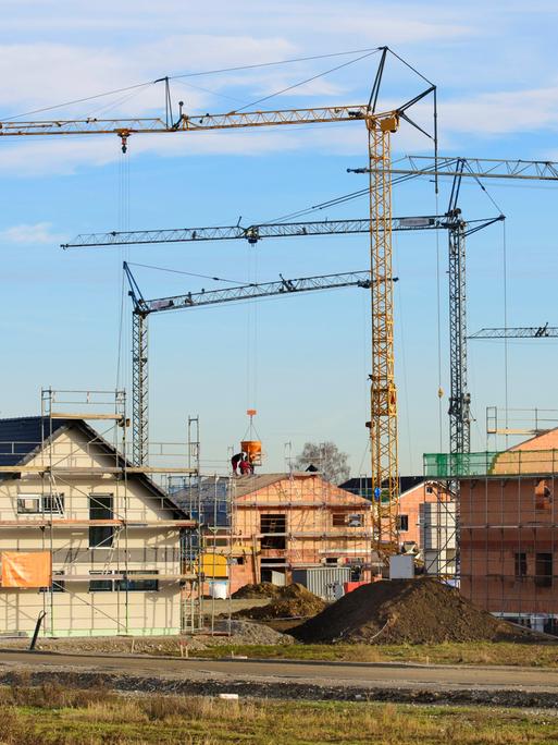 In einem Neubaugebiet stehen viele Baukräne vor Wohnhäuser im Rohbau, als Symbolbild für Wohnungsbau. In einem Neubaugebiet stehen viele Baukräne vor Wohnhäuser im Rohbau, als Symbolbild für Wohnungsbau.