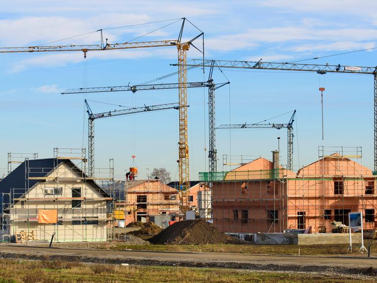 In einem Neubaugebiet stehen viele Baukräne vor Wohnhäuser im Rohbau, als Symbolbild für Wohnungsbau.