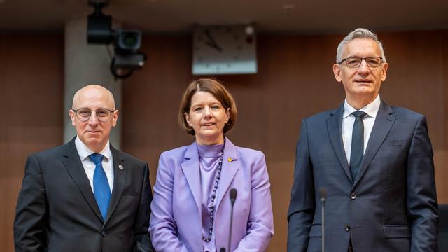Jäger, Rosenberg, und Selen stehen nebeneinander im Bundestag.