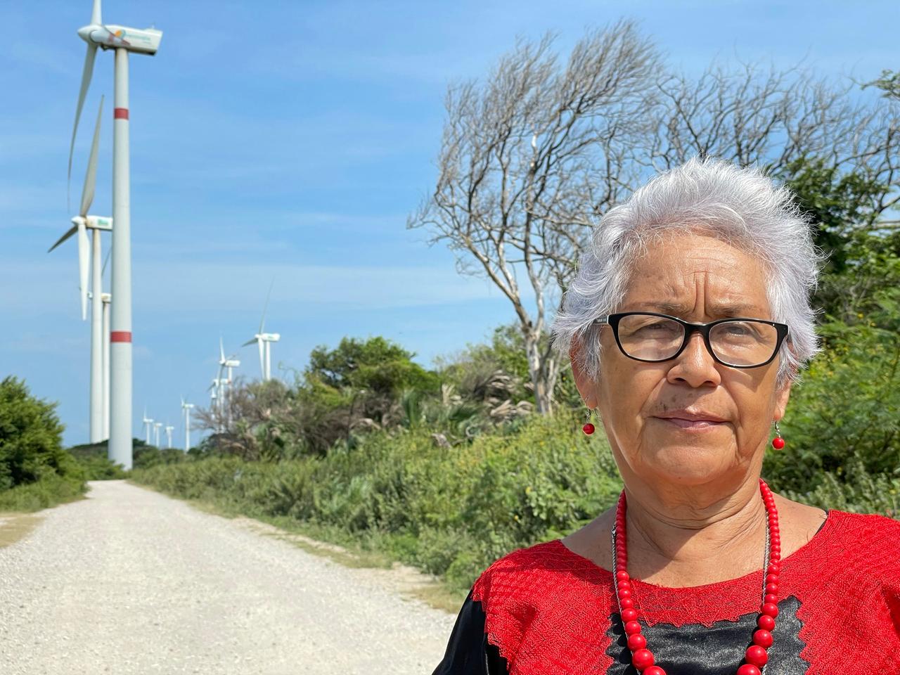 Guadalupe Ramírez steht vor den Windrädern des Windparks
