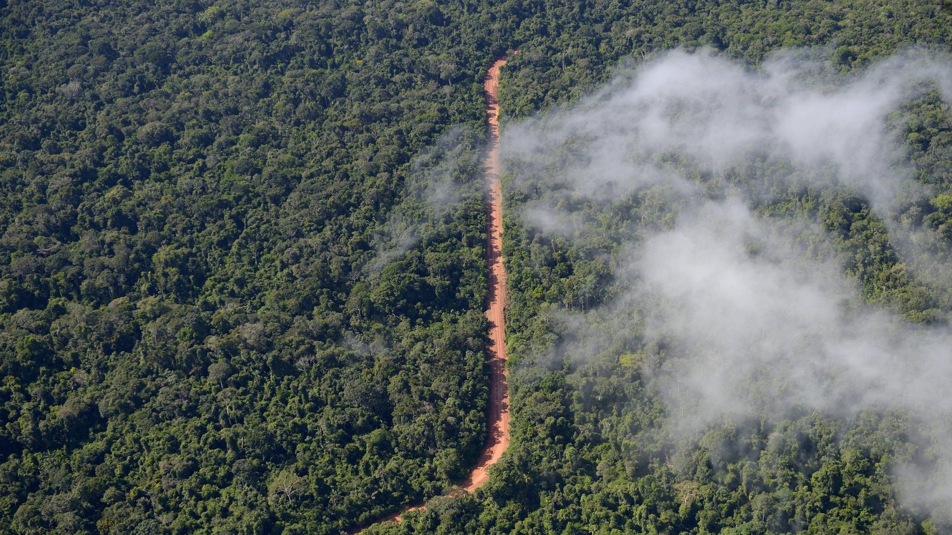 Eine Straße der Tropenholzmafia ist in der Gemeinde Trairao im brasilianischen Bundesstaat Para aus der Luft zu sehen