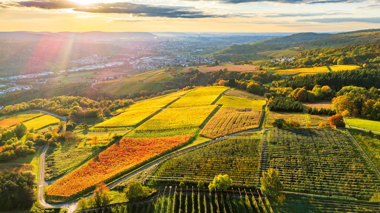 Luftaufnahme der farbenprächtigen Herbstweinberge im Remstal bei Sonnenaufgang. Luftaufnahme der farbenprächtigen Herbstweinberge im Remstal bei Sonnenaufgang.