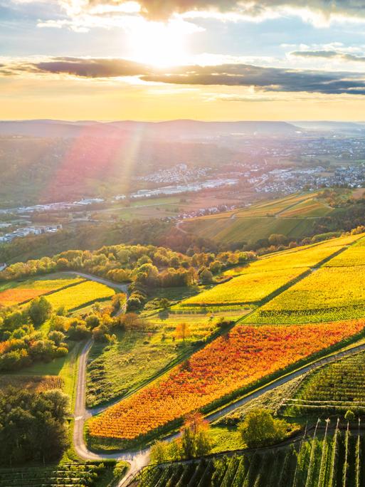 Luftaufnahme der farbenprächtigen Herbstweinberge im Remstal bei Sonnenaufgang. Luftaufnahme der farbenprächtigen Herbstweinberge im Remstal bei Sonnenaufgang.
