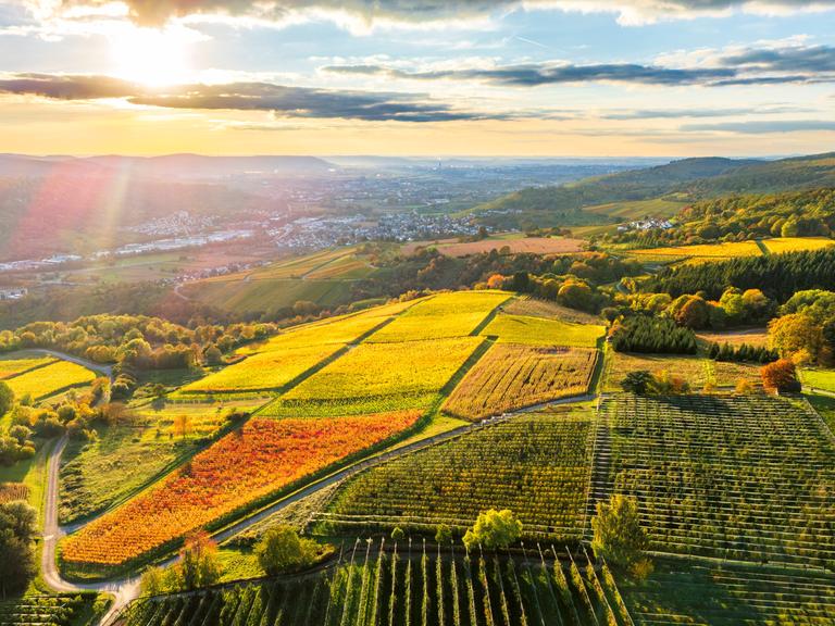 Luftaufnahme der farbenprächtigen Herbstweinberge im Remstal bei Sonnenaufgang. Luftaufnahme der farbenprächtigen Herbstweinberge im Remstal bei Sonnenaufgang.