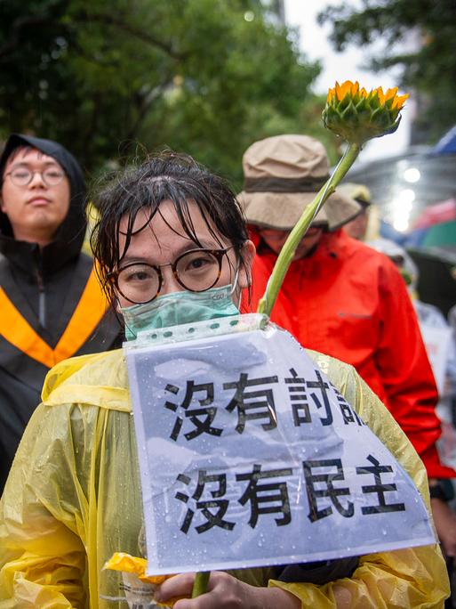 Demonstranten versammeln sich im Regen vor dem Yuan-Gebäude der Legislative in Taipeh, Taiwan, um gegen umstrittene Gesetzesentwürfe zu protestieren, sie halten Sonnenblumen in den Händen, 2024.