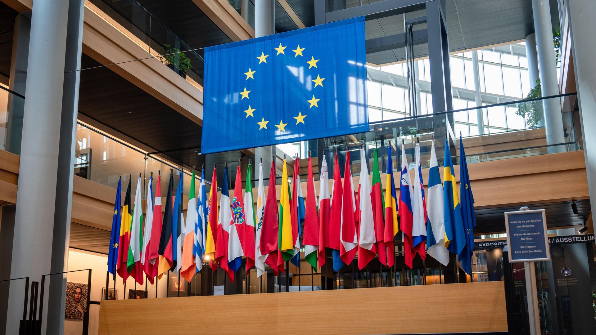 Faggen im Europäischen Parlament in Straßburg.