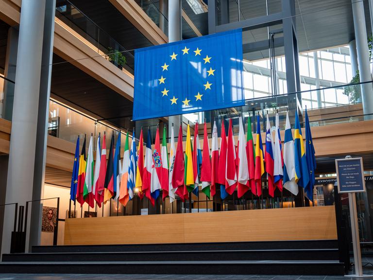 Faggen im Europäischen Parlament in Straßburg.