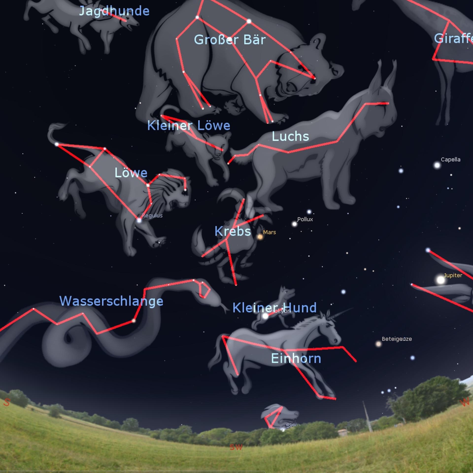 Noch bis Ende April - Vier Hunde am Winterhimmel