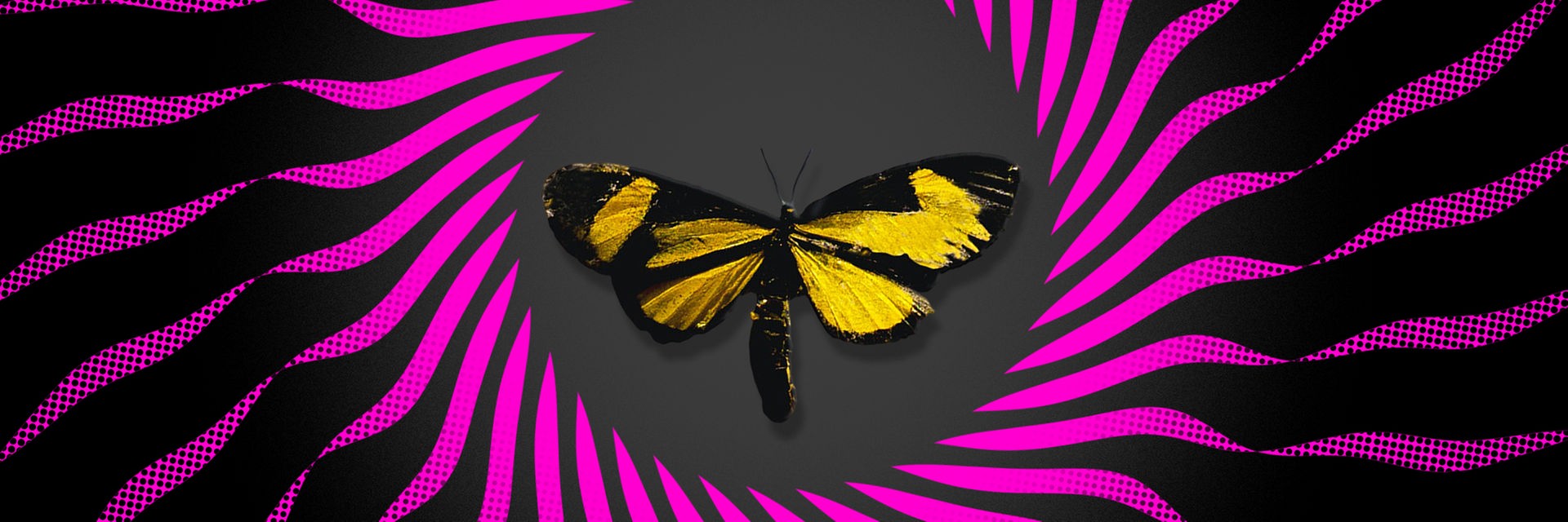 Schmetterlingseffekt - das Logo des Deutschlandfunk-Podcasts zeigt einen gezeichneten Schmetterling in einem Kreis, der einer Sonne ähnelt