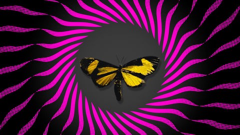 Schmetterlingseffekt - das Logo des Deutschlandfunk-Podcasts zeigt einen gezeichneten Schmetterling in einem Kreis, der einer Sonne ähnelt