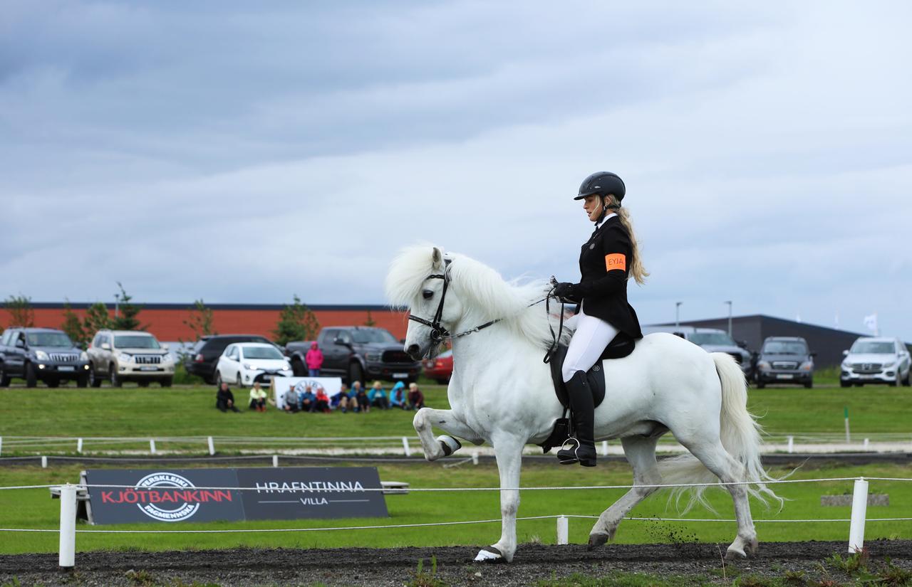 Jóhanna Margrét Snorradóttir und ihr Pferd Bárður in Aktion bei den nationalen Titelkämpfen in Selfoss im Süden Islands. 