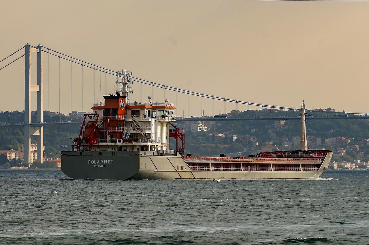 Das Frachtschiff "Polarnet" durchquert die Bosporusstraße.