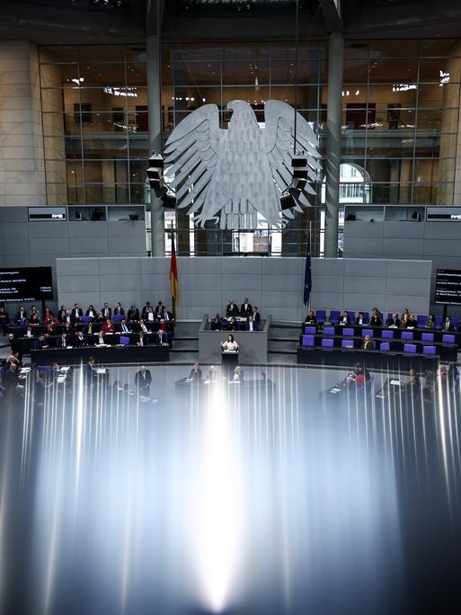 Das Bild zeigt einen weitwinkligen Blick in den Plenarsaal des Bundestags. Im Fokus steht der große Bundesadler. Darunter sind (klein) viele Abgeordnete zu sehen. 