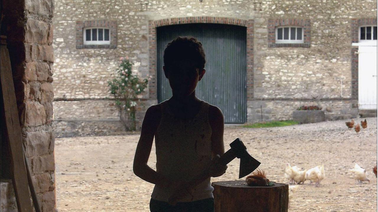 Ein Junge mit einem Beil, im Schatten, hinter ihm Hühner. (Szenenbild aus dem Film "Caché").