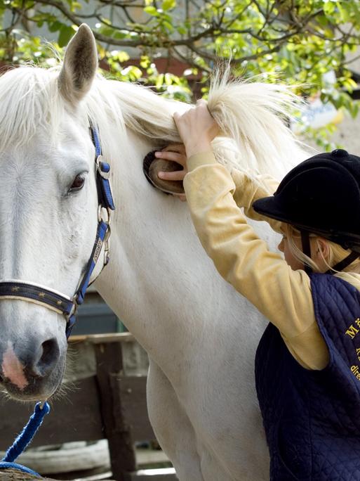 Ein Mädchen striegelt ihr Pony. 