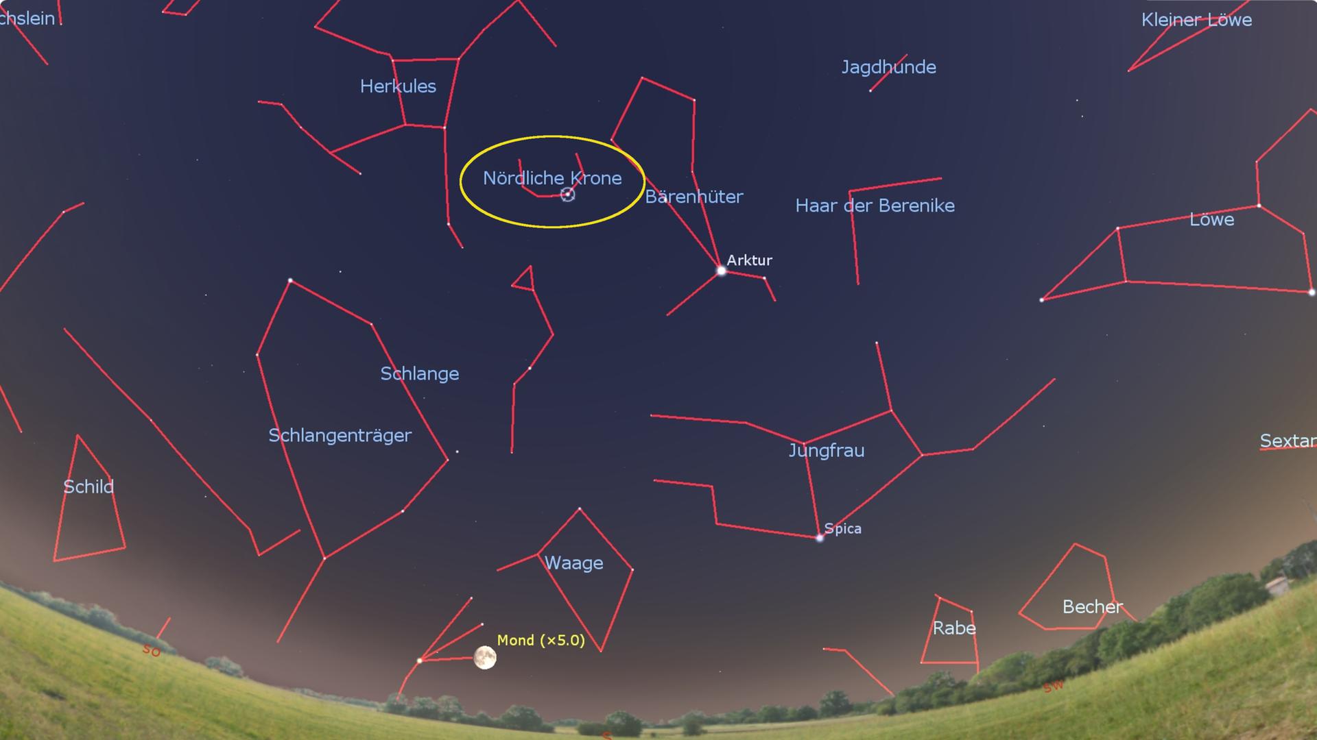 Der Stern Gemma in der Nördlichen Krone steht abends hoch am Himmel. 