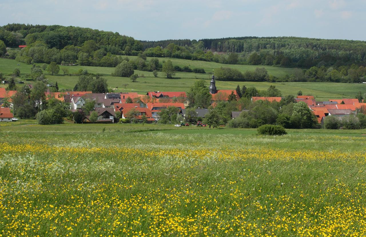 Vogelsberglandschaft mit Dorf und Frühjahrsblumen