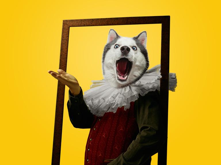 Collage einer Figur aus Mensch und Wolf, die aus einem Bilderrahmen schaut und singt. Der Bilderrahmen steht vor einem gelben Hintergrund. 