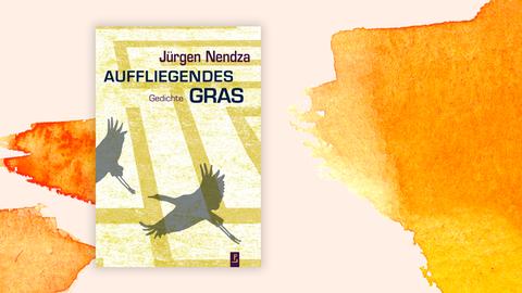 Das Cover des Buches von Jürgen Nendza, "Auffliegendes Gras" auf orange-weißem Grund.. Das Cover zeigt neben dem Autorennamen und dem Titel die Schatxten großer Vögel im Flug, auf dem Boden ist ein Muster zu erkennen.