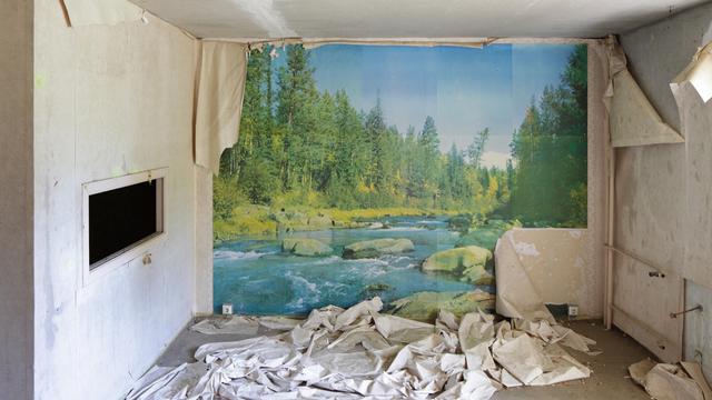 Eine leerstehende Wohnung in einem Plattenbau mit Landschaftsmotiv auf einer Fototapete.