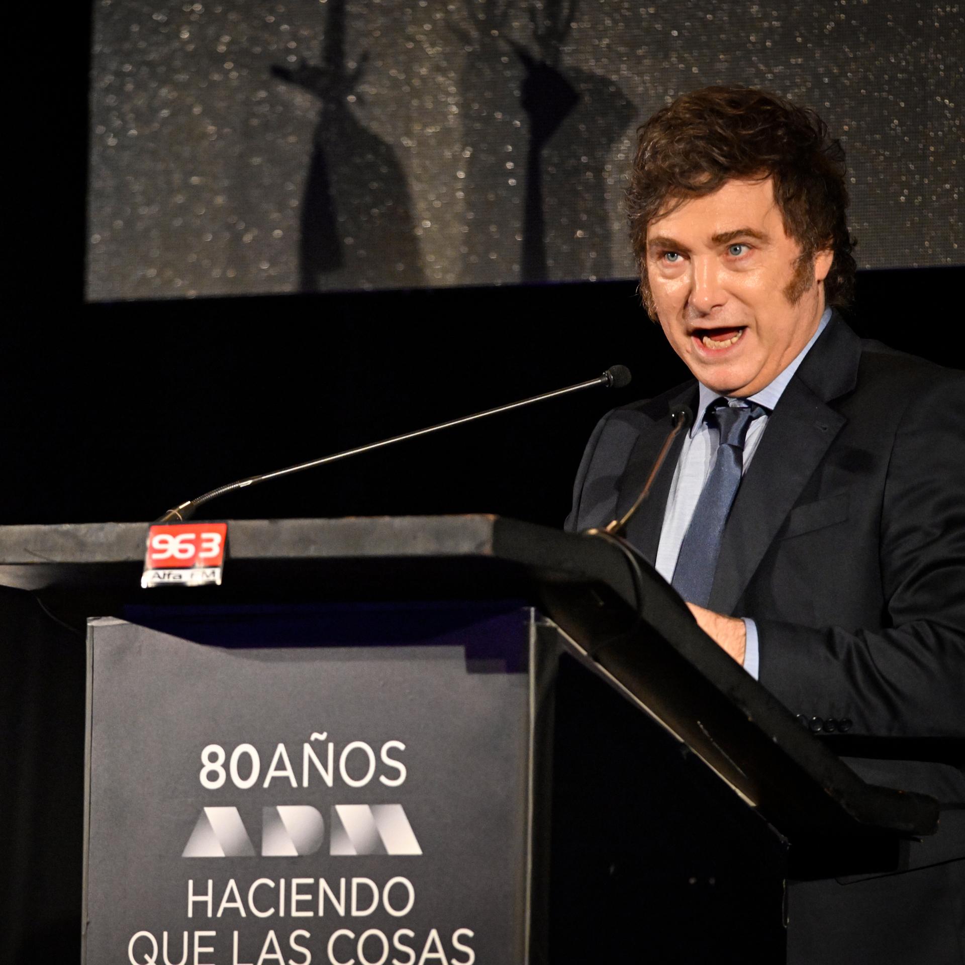 Javier Milei, Präsident von Argentinien, hält eine Rede; links steht die argentinische Flagge.