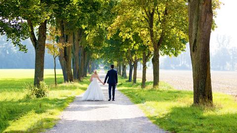 Hochzeitspaar von hinten, das Hand in Hand eine Baumallee entlang schreitet. Sie im weißen Brautkleid, er im schwarzen Anzug. 