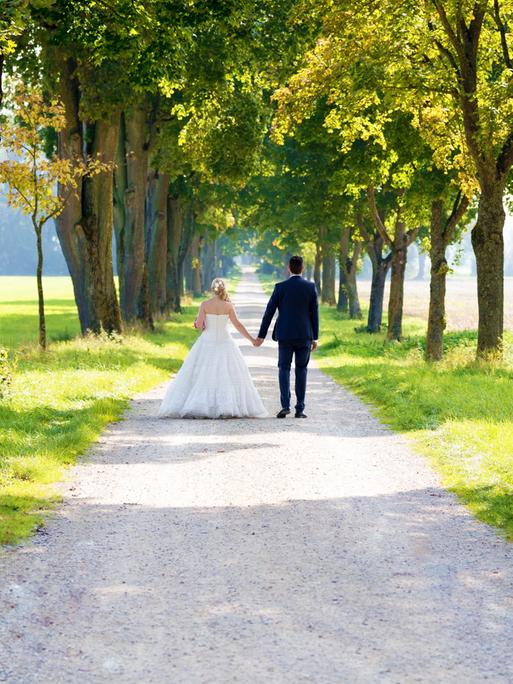 Hochzeitspaar von hinten, das Hand in Hand eine Baumallee entlang schreitet. Sie im weißen Brautkleid, er im schwarzen Anzug. 