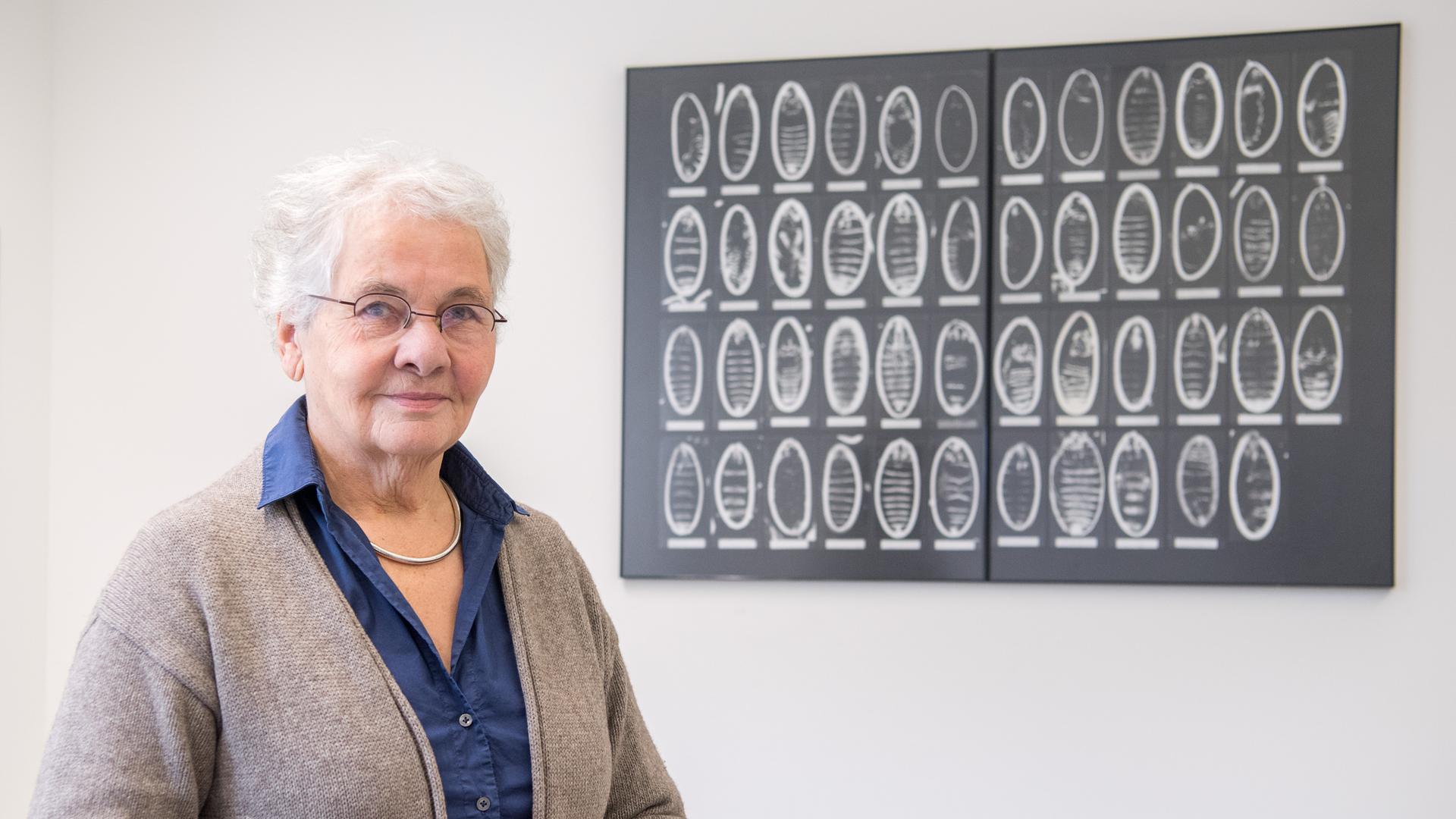 Die Biochemikerin und Medizinnobelpreisträgerin Christiane Nüsslein-Volhard steht am 04.10.2017 im Max-Planck-Institut für Entwicklungsbiologie in Tübingen (Baden-Württemberg) neben einem Bild, auf der die genetische Steuerung der Embryonalentwicklung bei Taufliegen abgebildet ist. Für diese Forschung hat sie zusammen mit zwei weiteren Wissenschaftlern im Jahr 1995 den Medizinnobelpreis verliehen bekommen. 
