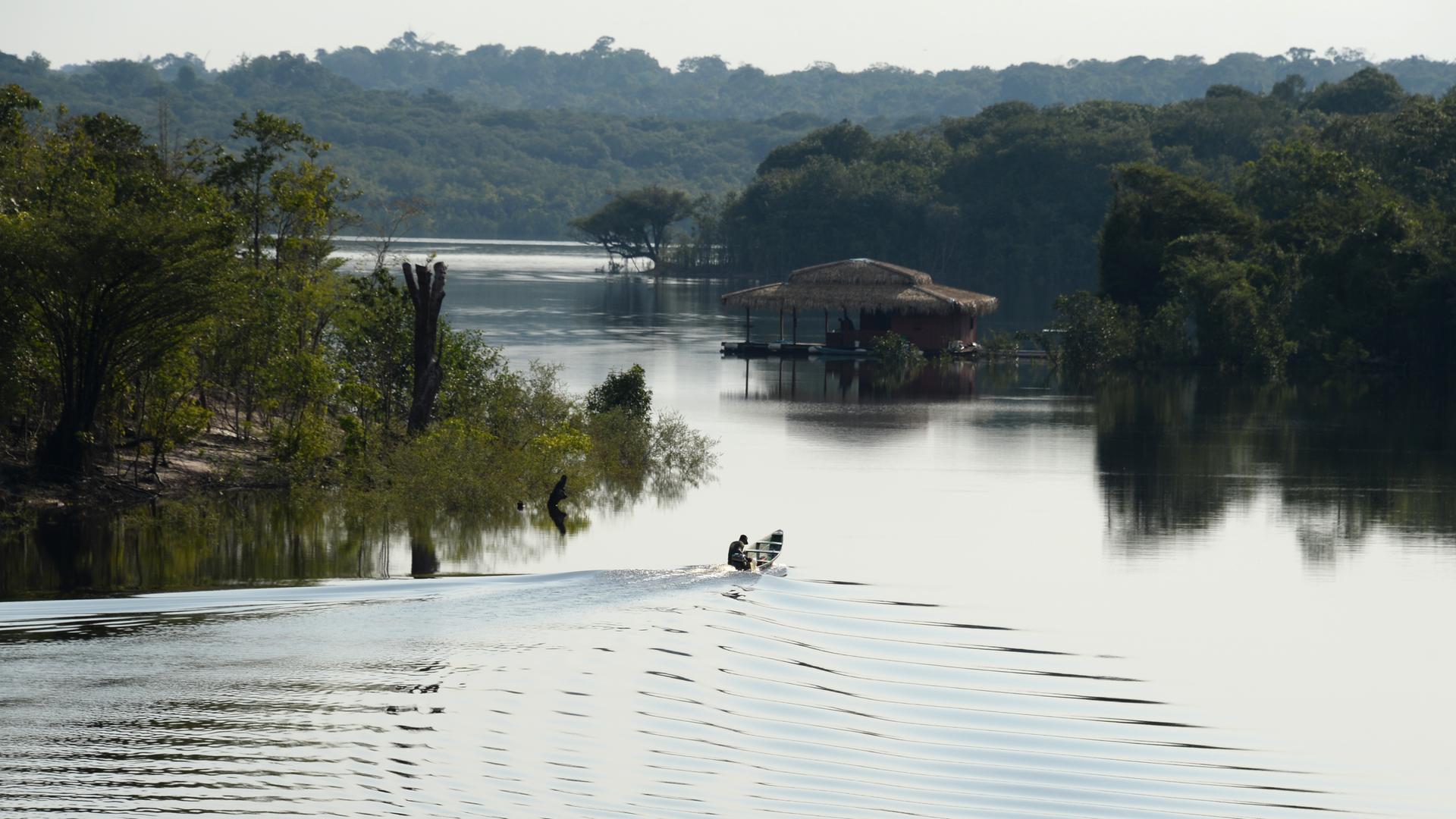 Ein Mann fährt mit einem Boot auf einem Seitenarm des Amazonas in der Nähe der brasilianischen Stadt Manaus (Marcus Brandt/dpa) Ein Mann fährt mit einem Boot auf einem Seitenarm des Amazonas in der Nähe der brasilianischen Stadt Manaus (Marcus Brandt/dpa)