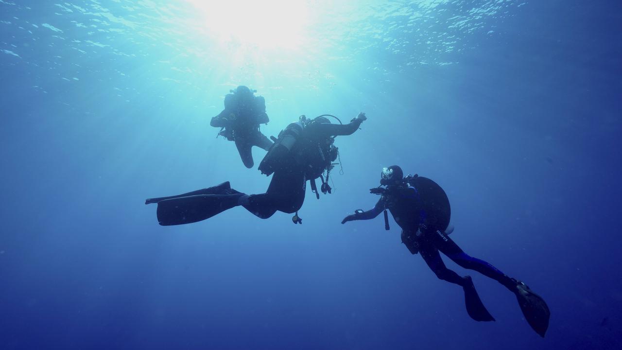 Drei Taucher unter Wasser, von der Sonne beleuchtet, schwimmen gemeinsam im blauen Ozean im Mittelmeer bei Hyères, Tauchplatz Halbinsel Giens, Porquerolles, Provence, Côte d Azur.