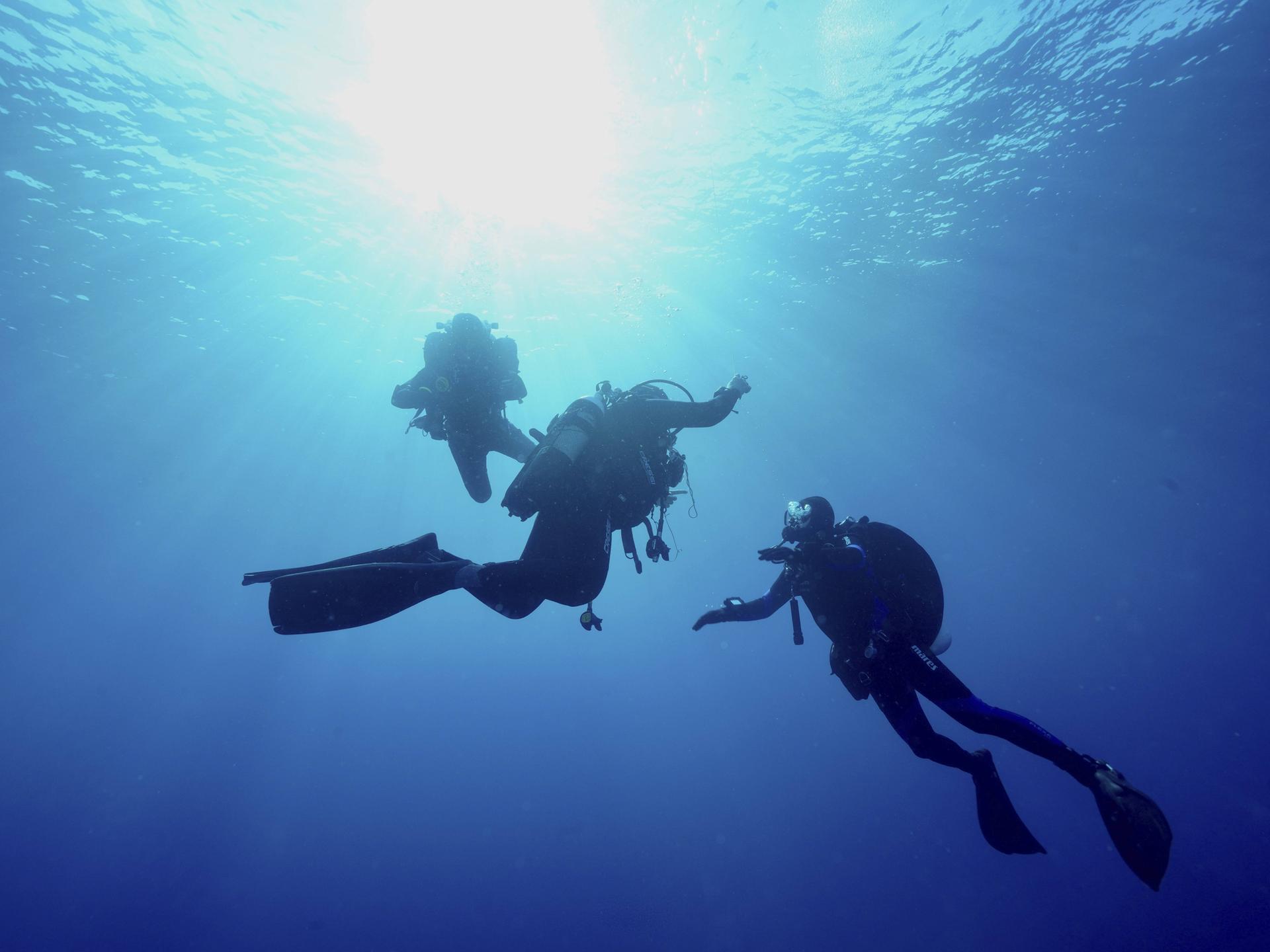 Drei Taucher unter Wasser, von der Sonne beleuchtet, schwimmen gemeinsam im blauen Ozean im Mittelmeer bei Hyères, Tauchplatz Halbinsel Giens, Porquerolles, Provence, Côte d Azur.