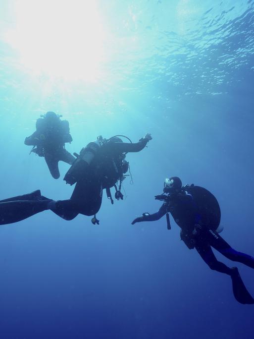 Drei Taucher unter Wasser, von der Sonne beleuchtet, schwimmen gemeinsam im blauen Ozean im Mittelmeer bei Hyères, Tauchplatz Halbinsel Giens, Porquerolles, Provence, Côte d Azur.