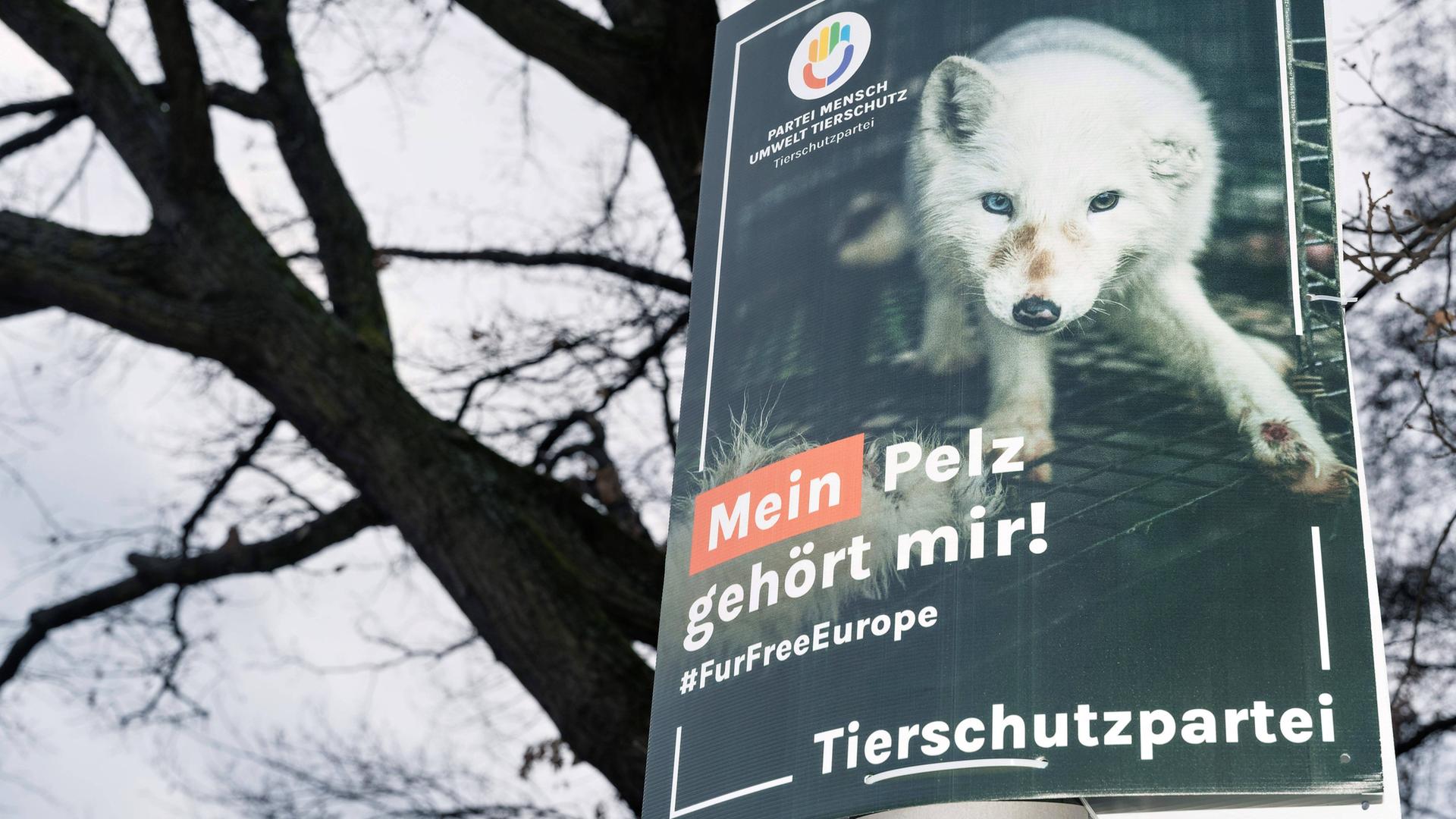 Ein Wahlplakat der Tierschutzpartei mit Tierbild und der Aufschrift "Mein Pelz gehört mir".