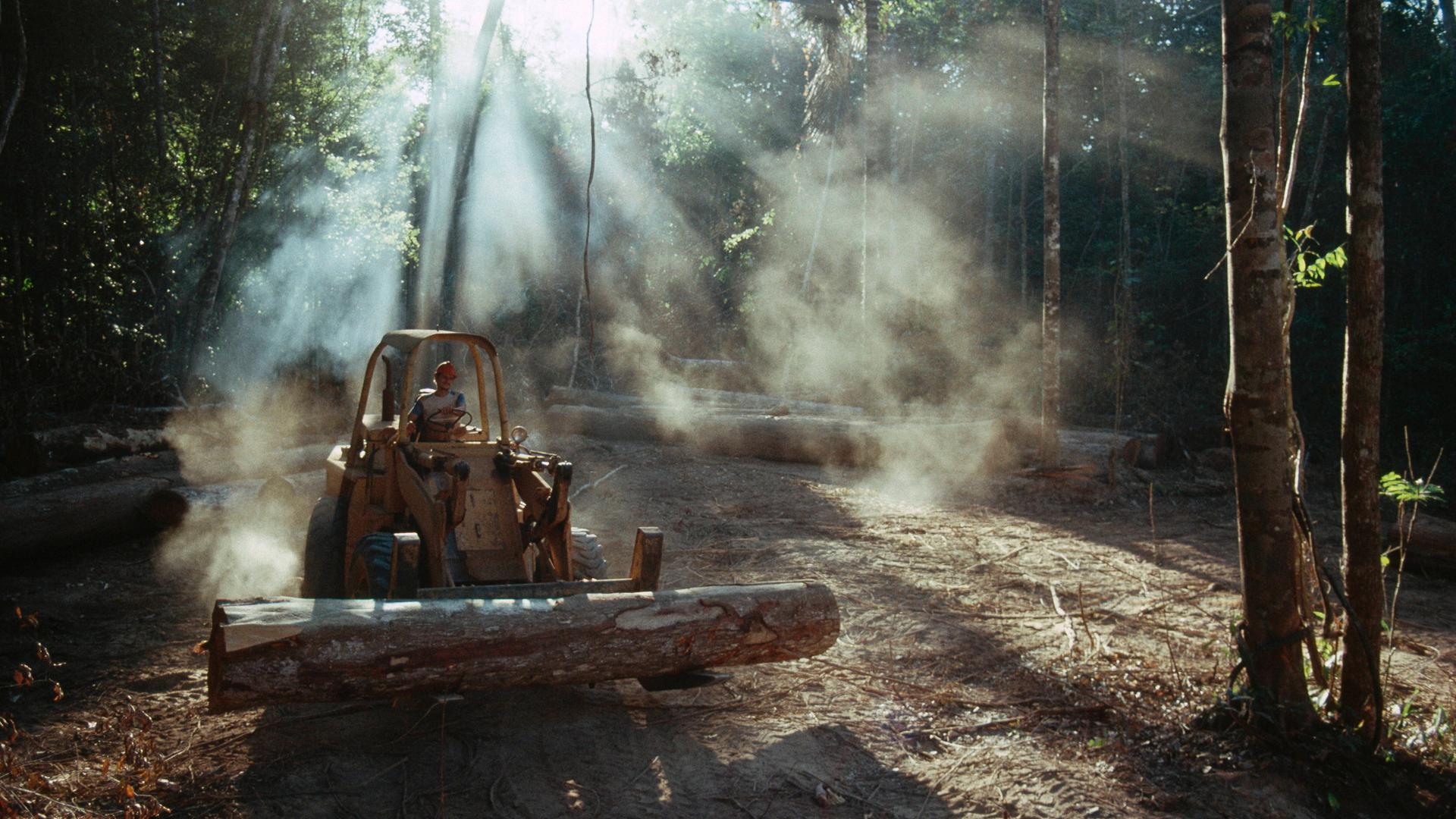 Auf einer sonnendurchfluteten Waldlichtung transportiert ein Arbeiter mit Hilfe einer Baggerschaufel einen großen gefällten Baumstamm.
