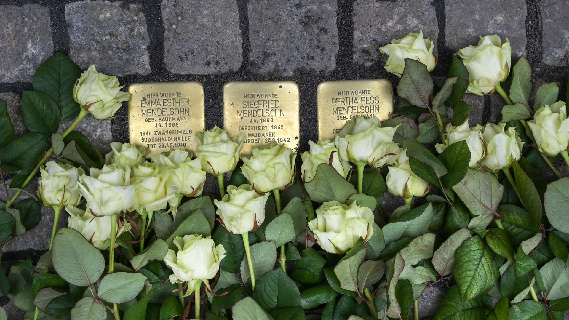 Drei Stolpersteine mit den Namen von Emma Esther, Siegfried und Bertha Pess Mendelsohn sind in die Pflastersteine der Kramerstraße in Zeitz verlegt. Weiße Rosen liegen darauf.