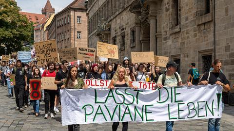 Demonstrationszug in der Innenstadt von Nürnberg gegen die geplante Tötung von Guinea-Pavianen im Tiergarten Nürnberg. An der Spitze der Versammlung tragen mehrere Personen ein grosses Transparent mit der Aufschrift "Lasst die Paviane leben!".